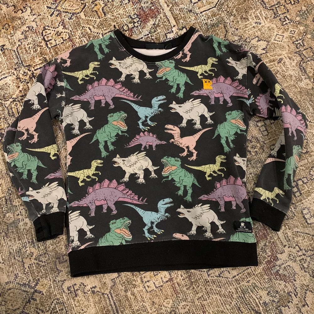 Rock Your Kid Dinosaur Sweatshirt
